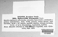 Mycosphaerella clymenia image